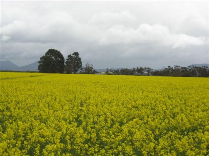 1099 CHILLINUP RD, South Stirling WA 6324