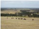 626 Nanarup Rd, 40.39 ha, Albany WA 6330