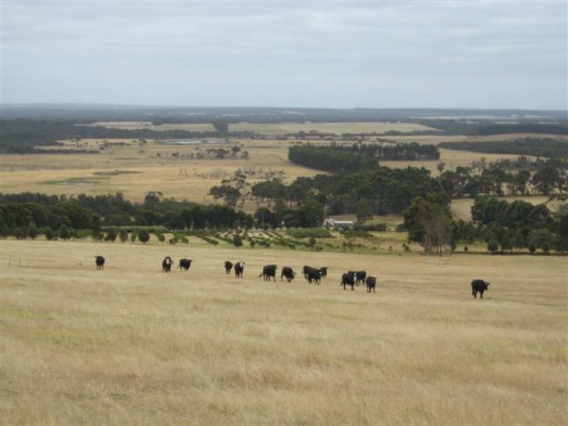 626 Nanarup Rd, 40.39 ha, Albany WA 6330