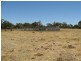 401 Marbellup North Rd, 126.41 ha, Albany WA 6330
