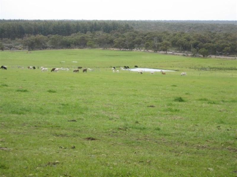 494 Spencer Road, 40.54 ha, Narrikup WA 6326