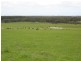 494 Spencer Road, 40.54 ha, Narrikup WA 6326