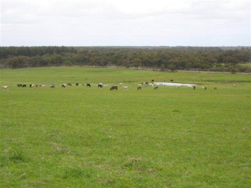 494 Spencer Road, 40.54 ha, Narrikup WA 6326