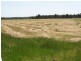 151 Lake Barnes Road,51.96ha, Narrikup WA 6326