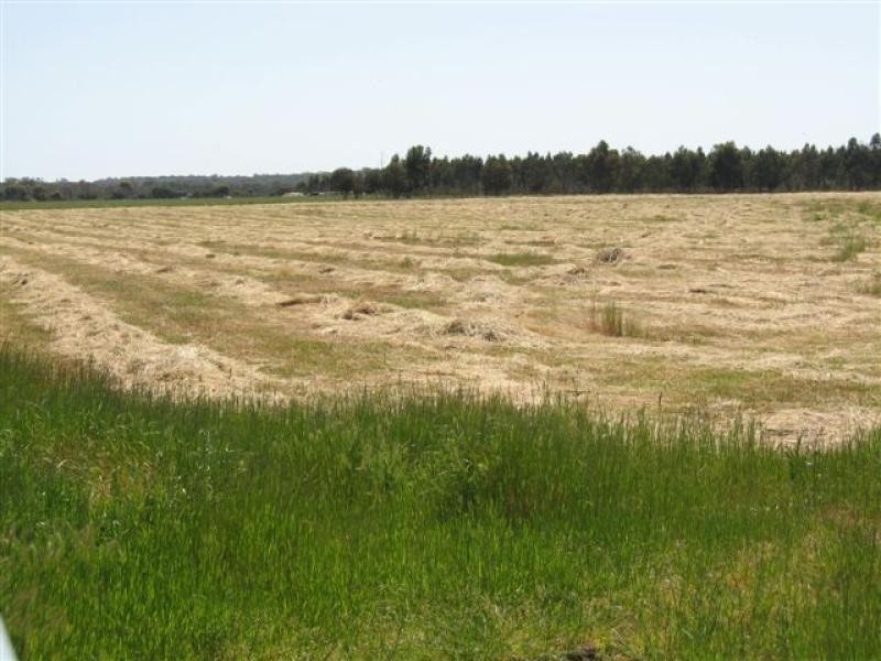 151 Lake Barnes Road,51.96ha, Narrikup WA 6326