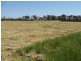 151 Lake Barnes Road,51.96ha, Narrikup WA 6326
