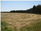 151 Lake Barnes Road,51.96ha, Narrikup WA 6326