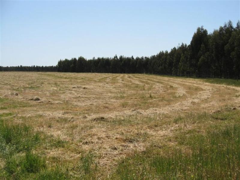 151 Lake Barnes Road,51.96ha, Narrikup WA 6326