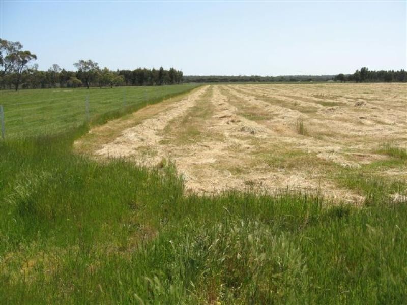 151 Lake Barnes Road,51.96ha, Narrikup WA 6326