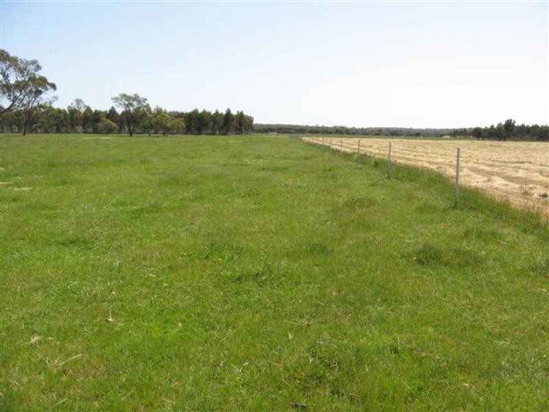 151 Lake Barnes Road,51.96ha, Narrikup WA 6326