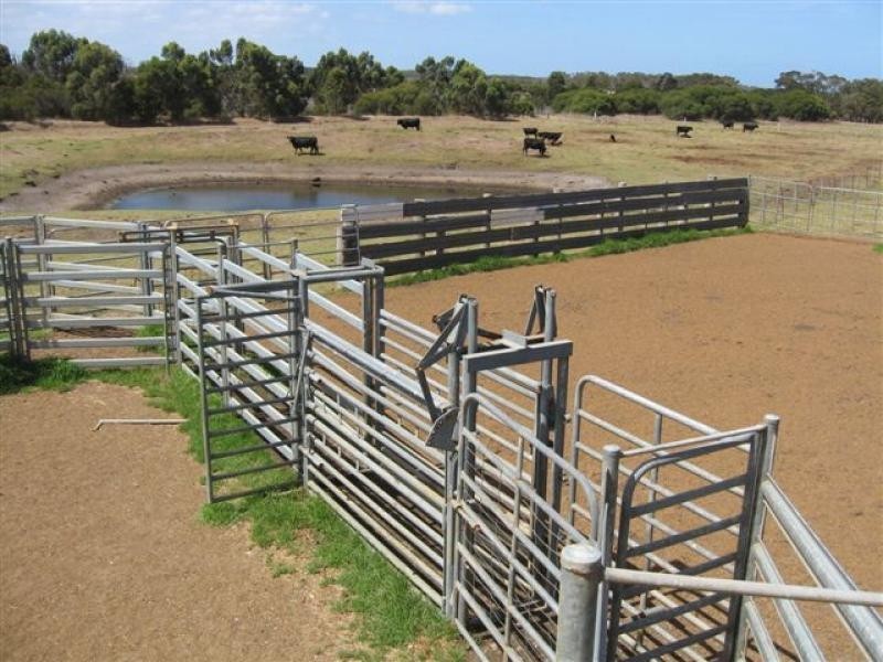 214 Sleeman Rd, 253 ha, Youngs Siding WA 6330