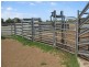 214 Sleeman Rd, 253 ha, Youngs Siding WA 6330
