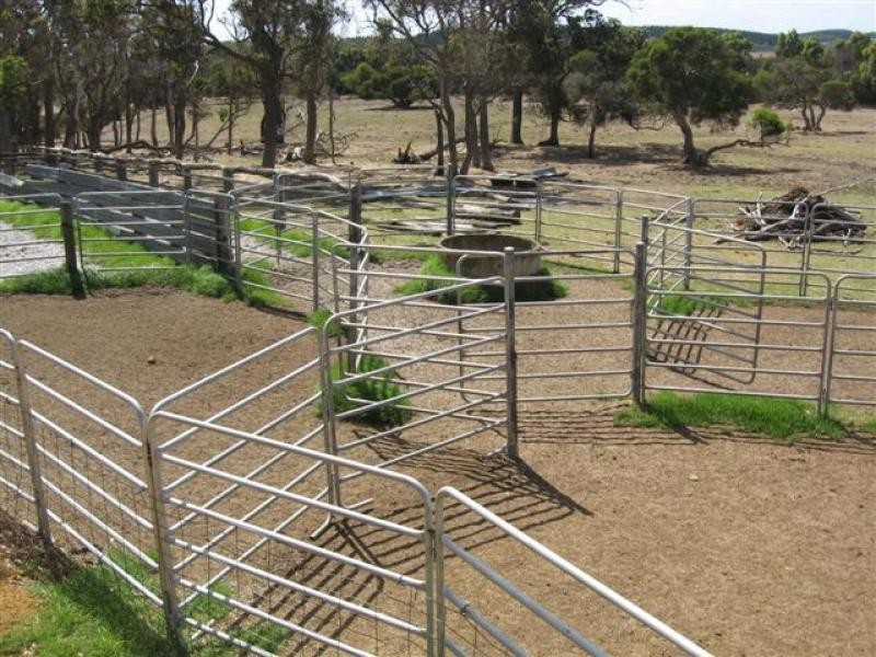 214 Sleeman Rd, 253 ha, Youngs Siding WA 6330