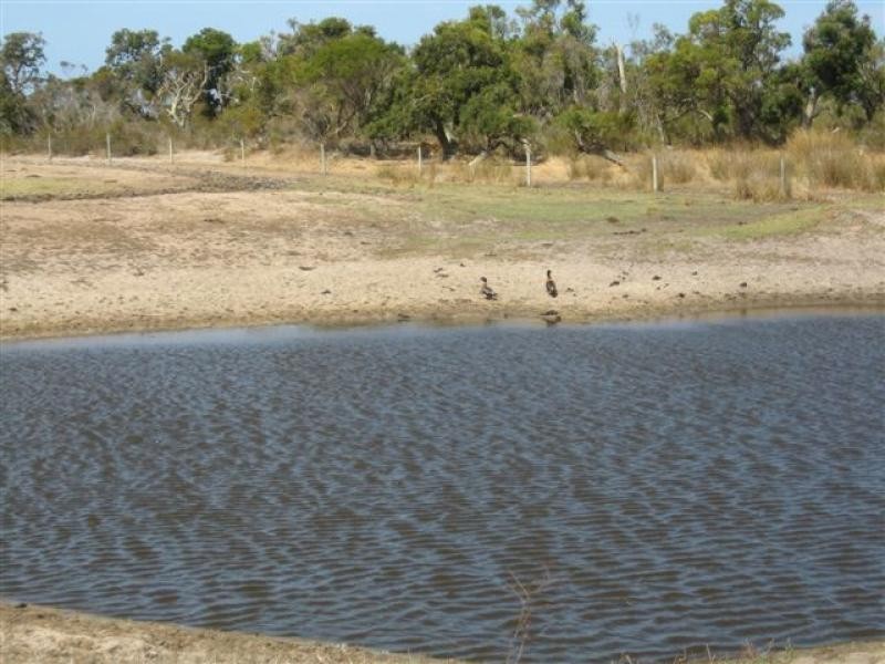 214 Sleeman Rd, 253 ha, Youngs Siding WA 6330