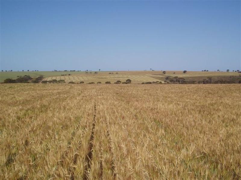 1150 Maringarup Road, 3019 ha, Gairdner WA 6337