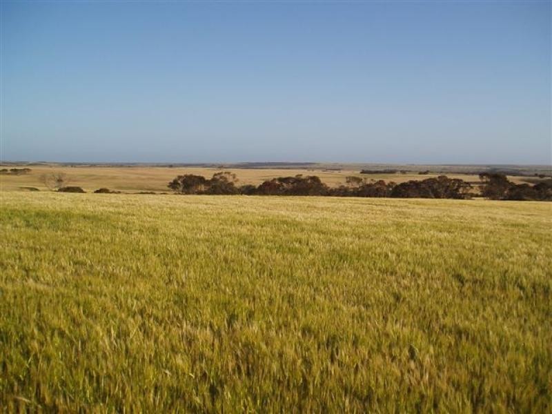 1150 Maringarup Road, 3019 ha, Gairdner WA 6337