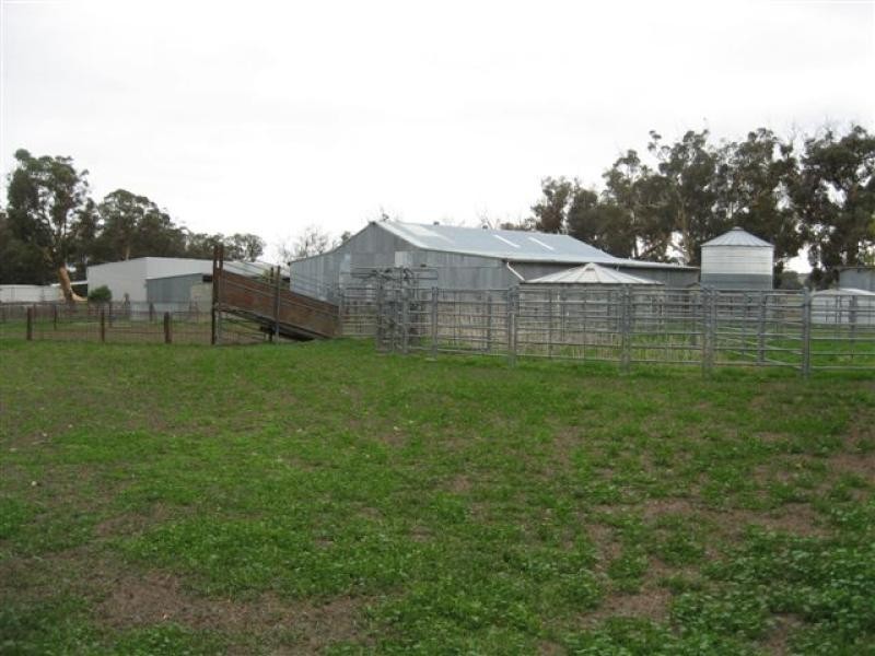 Albany Hwy, 181 ha, Cranbrook WA 6321