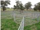 Albany Hwy, 181 ha, Cranbrook WA 6321