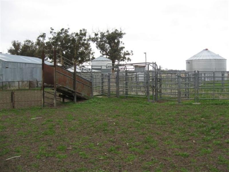 Albany Hwy, 181 ha, Cranbrook WA 6321