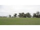 Albany Hwy, 181 ha, Cranbrook WA 6321