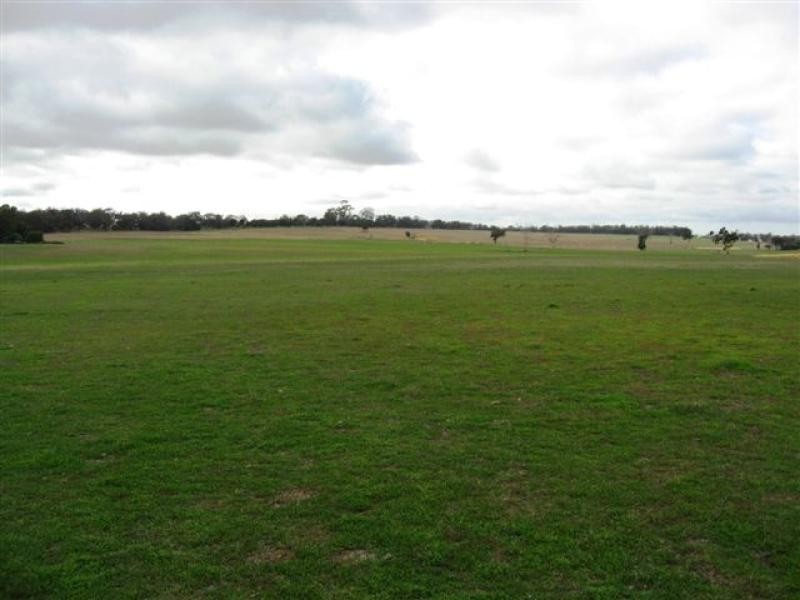 Albany Hwy, 181 ha, Cranbrook WA 6321