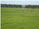 Lot 433 Douglas Rd, 244 ha, Albany WA 6330