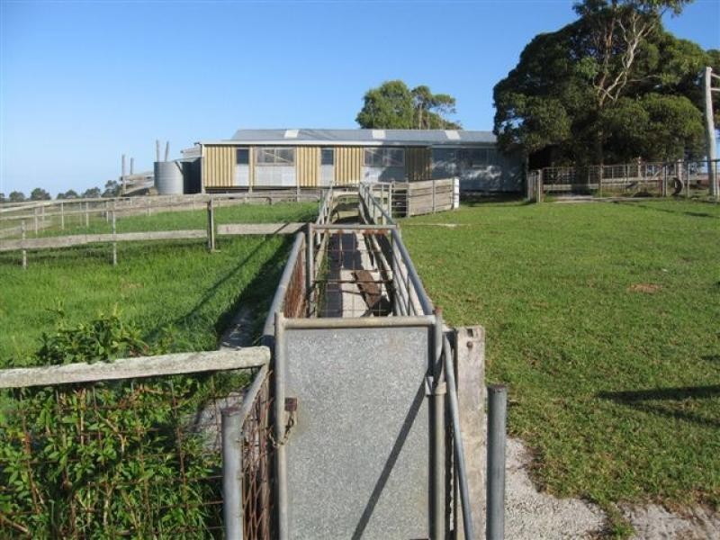 Lot 433 Douglas Rd, 244 ha, Albany WA 6330