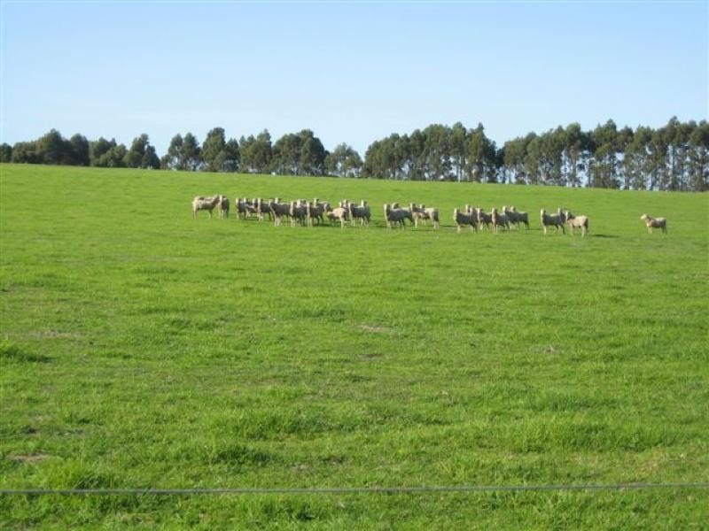 Lot 433 Douglas Rd, 244 ha, Albany WA 6330