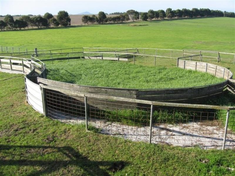Lot 433 Douglas Rd, 244 ha, Albany WA 6330