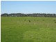 Lot 433 Douglas Rd, 244 ha, Albany WA 6330