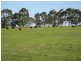 Lot 433 Douglas Rd, 244 ha, Albany WA 6330