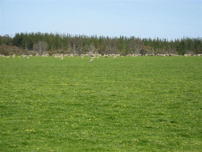 7691 Muirs Hwy, 474ha, Rocky Gully WA 6397