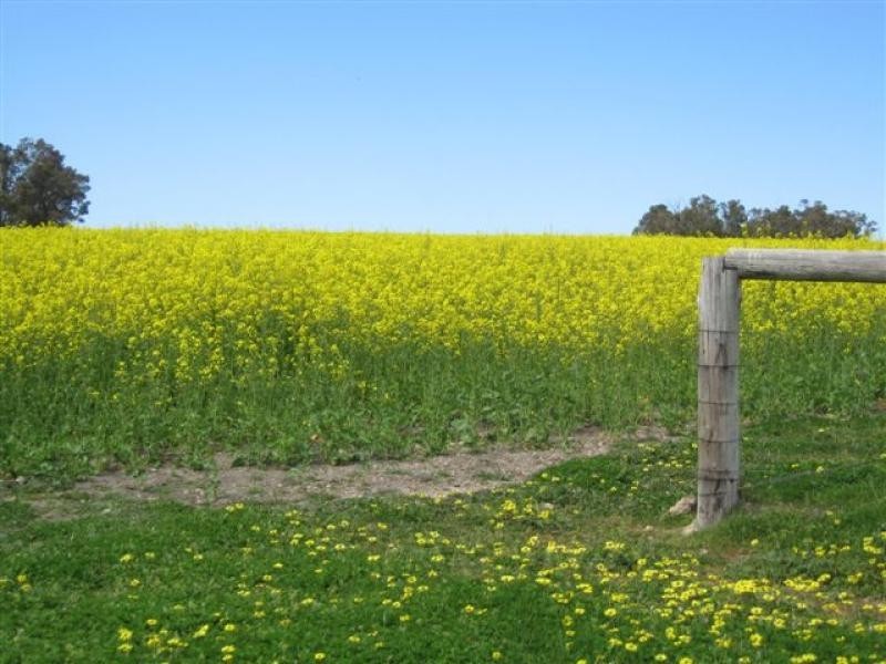 7691 Muirs Hwy, 474ha, Rocky Gully WA 6397