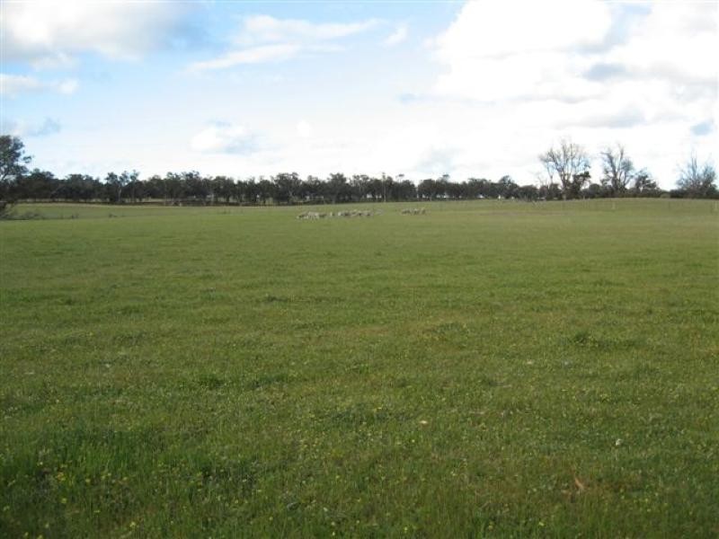 312 Yeriminup Rd, 347 ha, Tenterden WA 6322