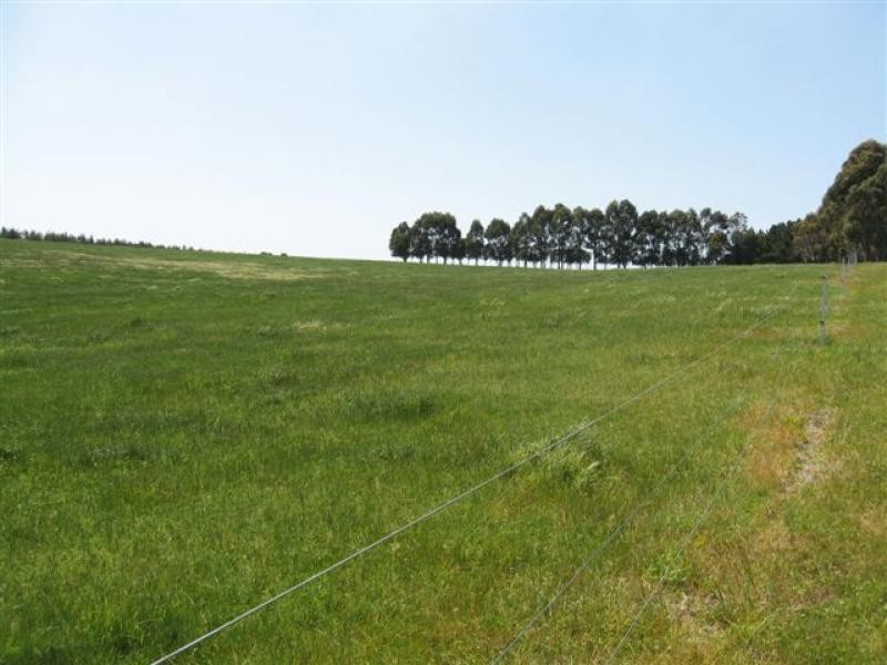 Corio Rd, 41 .93ha, Marbelup WA 6330
