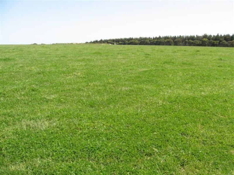 Corio Rd, 41 .93ha, Marbelup WA 6330