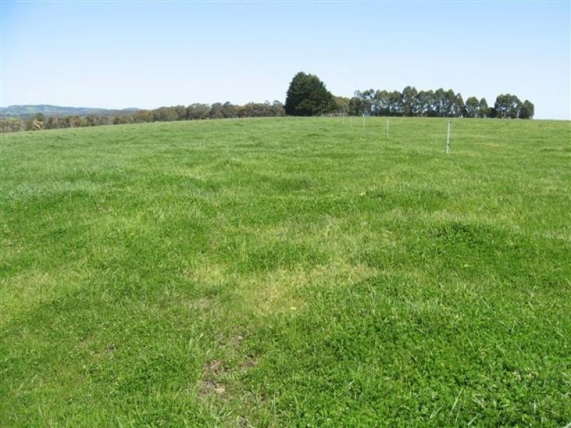 Corio Rd, 41 .93ha, Marbelup WA 6330