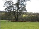 Denbarker Mt Barker Rd, 1211ha Denbarker Mt Barker Rd, 1211ha, Mount Barker WA 6324