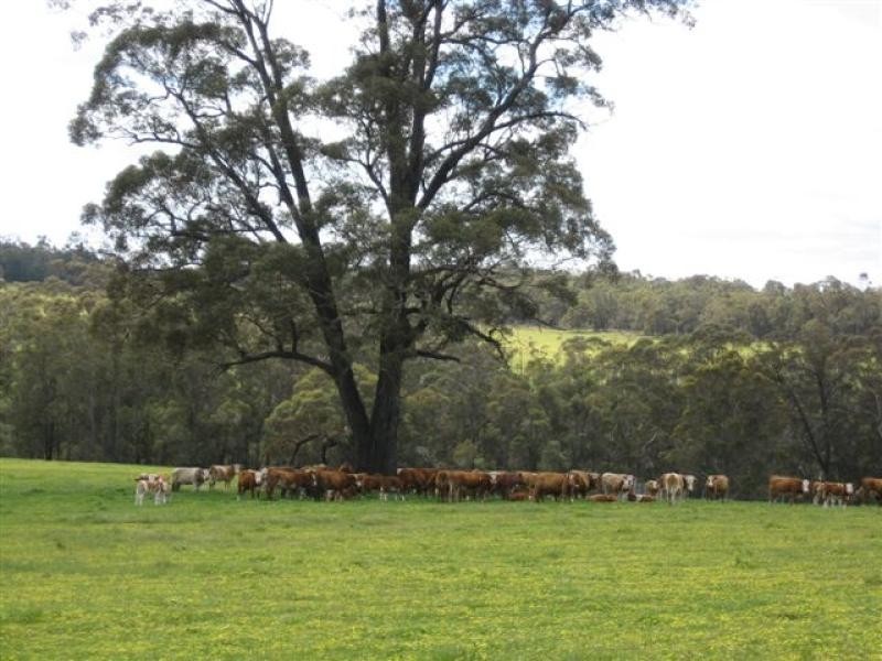Denbarker Mt Barker Rd, 1211ha Denbarker Mt Barker Rd, 1211ha, Mount Barker WA 6324