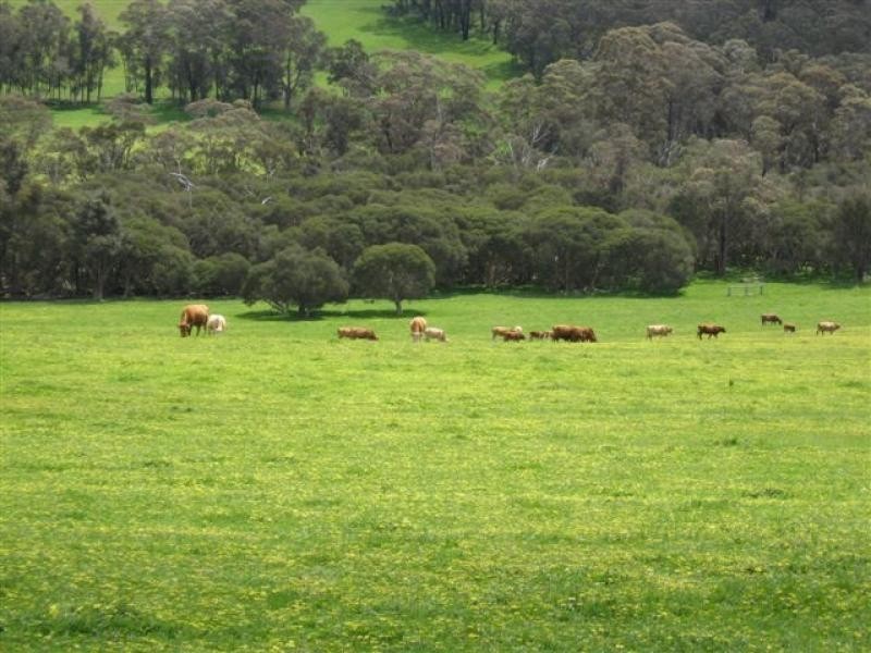Denbarker Mt Barker Rd, 1211ha Denbarker Mt Barker Rd, 1211ha, Mount Barker WA 6324