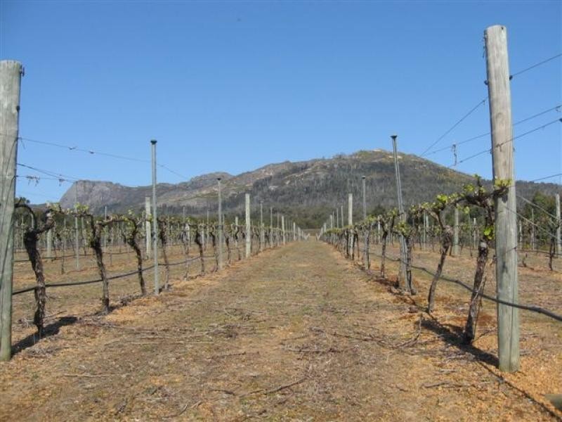 136 Woodlands rd, Porongurup WA 6324