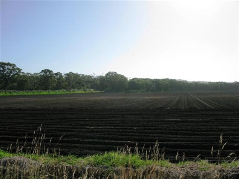 Lowlands WA 6330