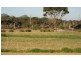 Watermans Rd 198ha ,, Mount Barker WA 6324