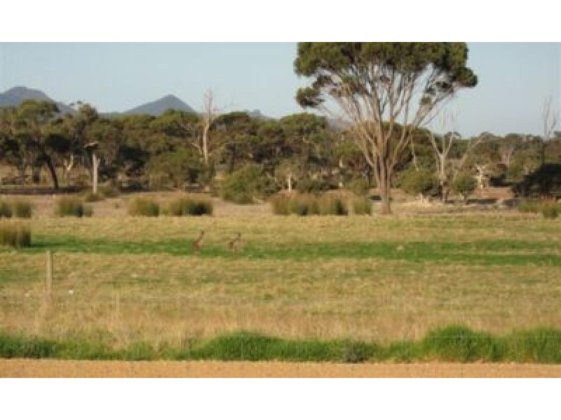 Watermans Rd 198ha ,, Mount Barker WA 6324