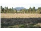 Watermans Rd 198ha ,, Mount Barker WA 6324