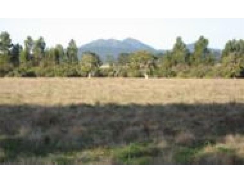 Watermans Rd 198ha ,, Mount Barker WA 6324