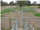 Watermans Rd 198ha ,, Mount Barker WA 6324