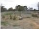 Watermans Rd 198ha ,, Mount Barker WA 6324