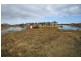 14 Erins Isle, Mandurah WA 6210