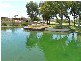 6 NEWTON PASS, Meadow Springs WA 6210